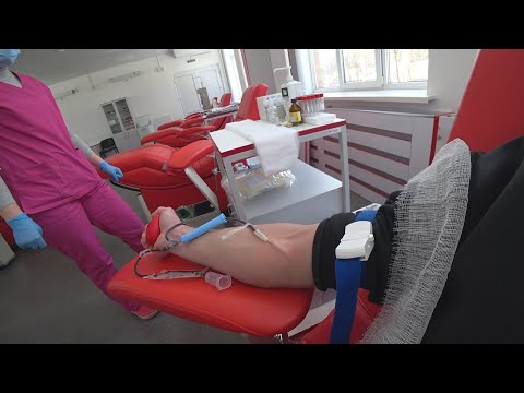 Сколько платят донору крови?