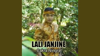 Download lagu Lali Janjine mp3
