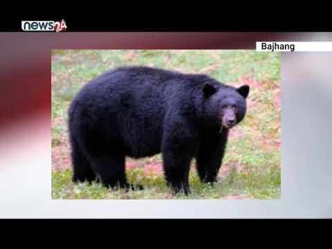 जिल्ला प्याकेज - NEWS24 TV