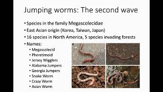2019 Invasive Species Mapping Challenge