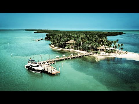 Dj Sava ⛌ Adriana Onci ⛌ Dance Eggo - Seven Nation Army M/V