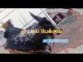 Kutt Appu Whatsapp Status Song Download 2121