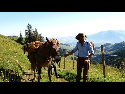 Voyages Vert Vous - E-Grand Tour de Suisse et découverte de l'alpage