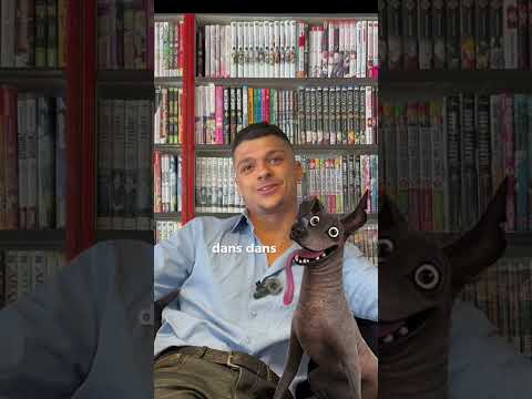 Interview d'Andrea Santamaria (Miguel dans Coco) 