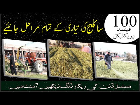 How to make maize silage|Heap-bunker silage making|Silage making process|فارم پر سائیلج خود بنائیں