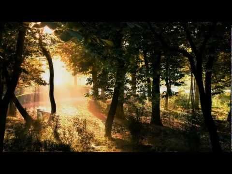 Desert Dwellers - Flights of Ecstasy