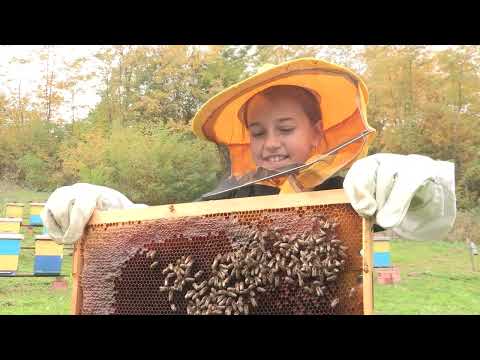 Boja meda ep. 261 07.03.2023. Dr Goran Jevtić, paša, pčelinji otrov, narodni običaji i verovanja