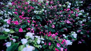 Teairra Mari - Stranger HD 2011_By_arweladse.mp4