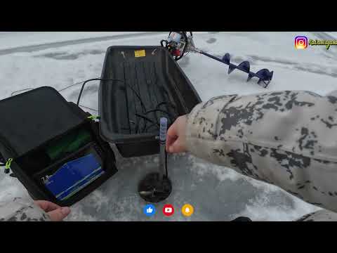 VIHDOINKIN PILKILLE  - VEHMERSALMI