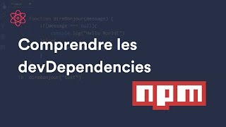 Comment fonctionnent les devDependencies sur NPM ? (package.json)