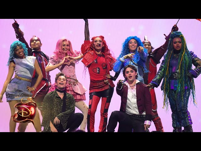 D23 Expo Performance