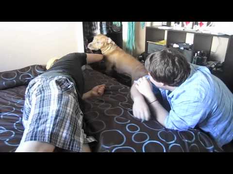 Why James is an Asshole