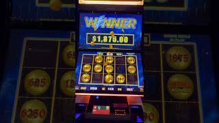 $12.50 SPIN DOLLAR STORM BIG WIN!