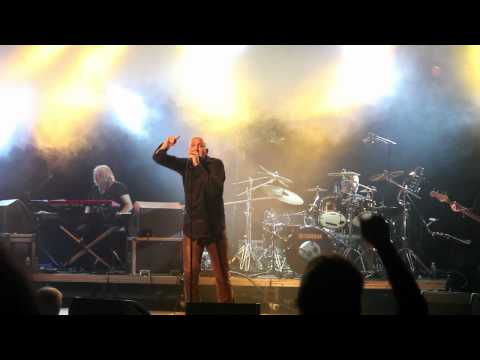 PETER BULTINK - LIVE AT TAZ#2011 - New Album: Aux Larmes Citoyens + New Tour