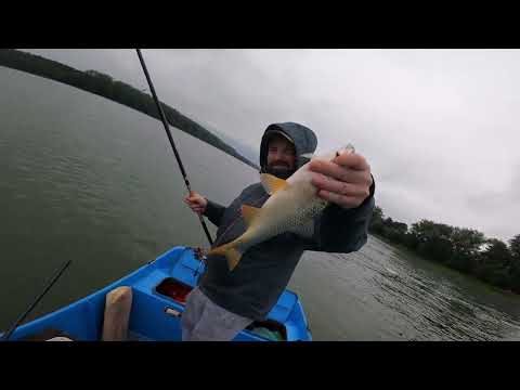 Bela Riba na Plovak I Pecaljku - Sava Ušce ( part 2 )