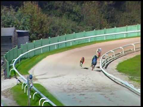 2017 BETFRED ECLIPSE - 2ND SEMI - T2 BUBBLY BLUEBIRD