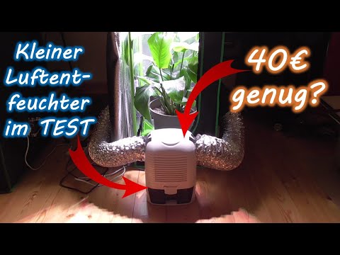Bringens KLEINE Luftentfeuchter fürs Growzelt? | Richtig anbringen | Growbox Luftfeuchtigkeit senken