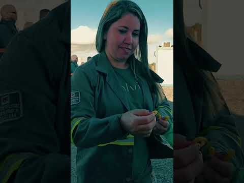 Navjaxx solace parque Eólico serra do tigre rio grande do Norte #navjaxx #solace #doisa