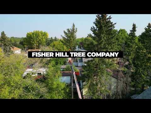 Fisher Hill Tree Company