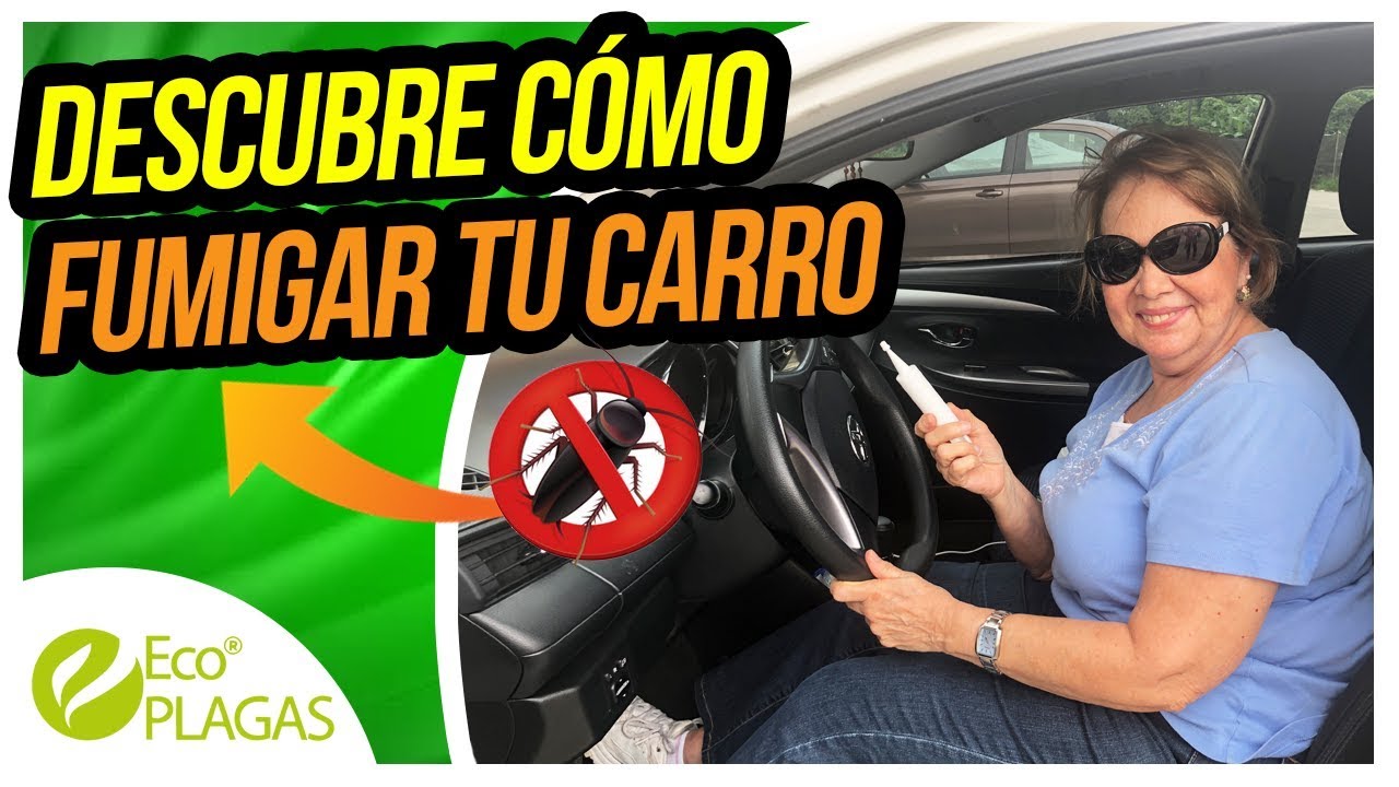 Watch Descubre Cómo Fumigar tu Carro | Fumigando con Señora Rosa Now Descubre Cómo Fumigar tu Carro | Fumigando con Señora Rosa
