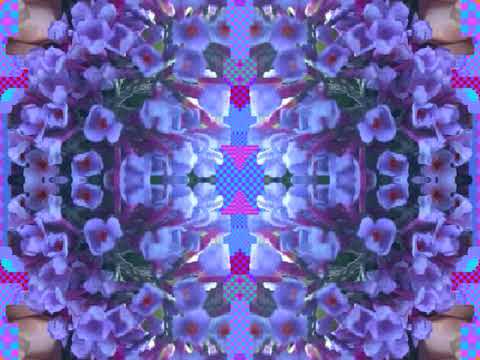 Wheel Of Time - Gene Clark