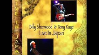 Billy Sherwood - Tony Kaye   The Other Side