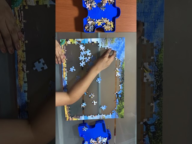 Vídeo relacionado con Ardilla terrestre Bosque Rompecabezas 300 Piezas Cartón para Expertos Mejora Atención para Semana Santa Garantía Satisfacción Más Vendido 300 PCS