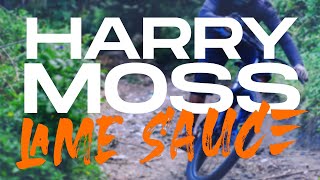 Harry Moss Trail Highlights