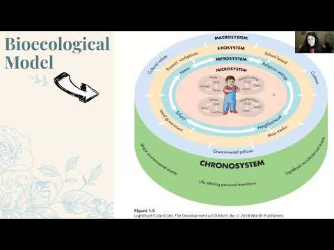 Ökologische Systemtheorie: Bronfenbrenners bioökologisches Modell