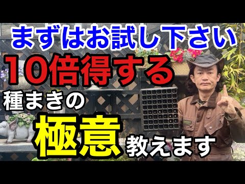 【初心者でも失敗しない】種まきした事がない方はまずこちらをご覧下さい　　　　　