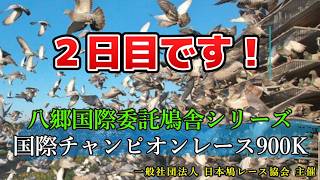 2026年度「八郷国際チャンピオン900K」ライブ配信　2日目です！(アーカイブ）