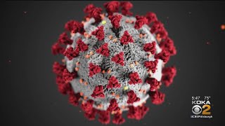 What Lessons Have We Learned From The Coronavirus Pandemic