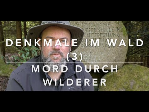 Shot by a poacher - Monuments in the forest (3)