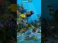 4k Animal Fullscreen WhatsApp Status Nature WhatsApp Status Nature Videos 30 Seconds