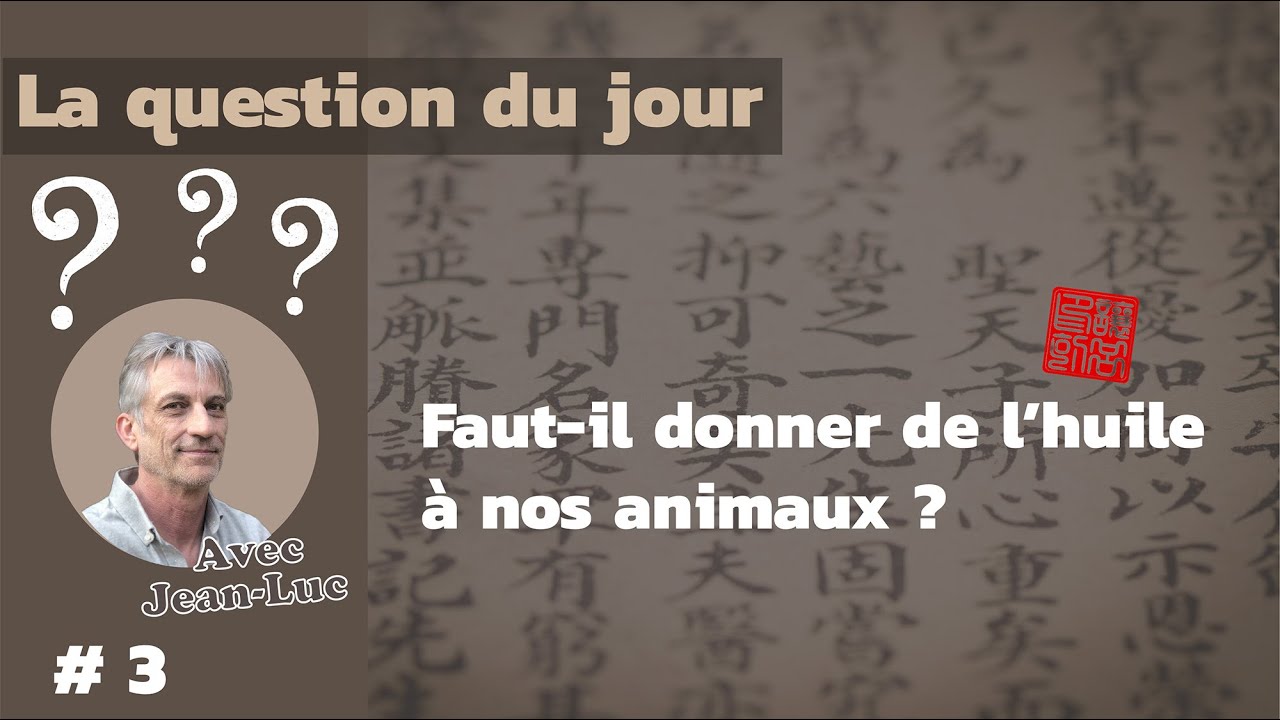 Faut-il donner de l'huile à son chat, chien ou cheval  Par Jean-Luc Klein, diplômé en MTC