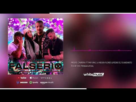 Miguel Cabrera ft Vins , Pedro El Flamenkito & La Negra Flores - Falserio (Audio Oficial)