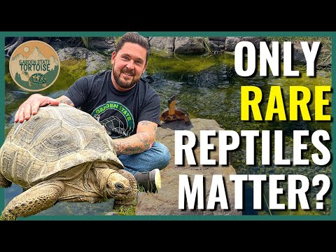 Do Only RARE Reptiles Matter? | Chris Leone - Garden State Tortoise