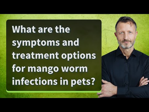 Mango Worm Video