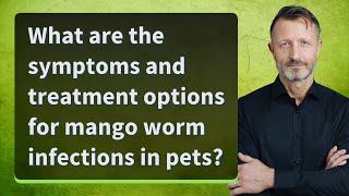 What are the symptoms and treatment options for mango worm infections in pets