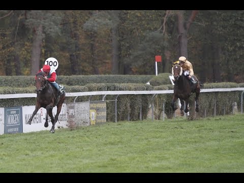 Mannheim: B.A.U.  Mannheim Steher Cup (Listenrennen) - Sieger: Klüngel