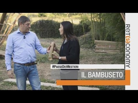 Letà media della potenza È necessario disporre di un potente potenza