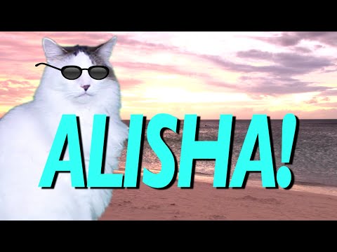 HAPPY BIRTHDAY ALISHA! - EPIC CAT Happy Birthday Song
