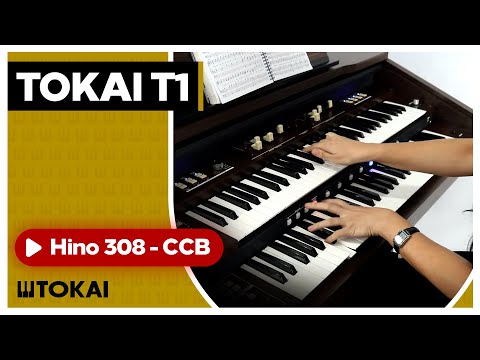 TOKAI T1 Hino 308 CCB