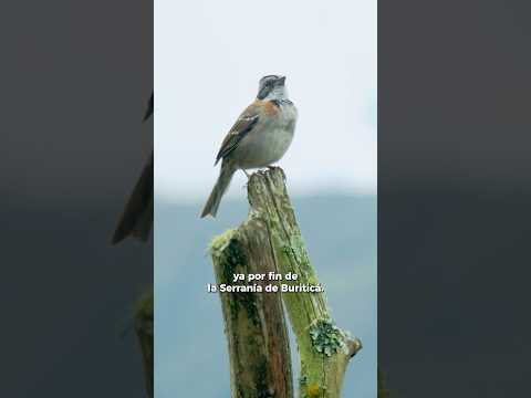Los territorios se construyen con el compromiso de su gente👩🏻‍🤝‍👨🏼.