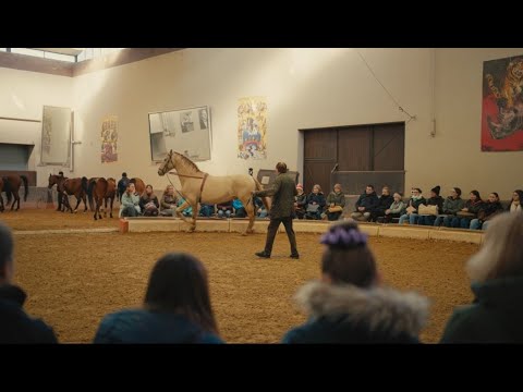 Rund ums Pferd mit Fredy Knie jun.