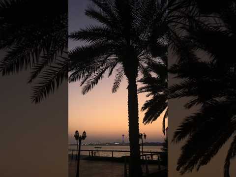 Sunsets in Abu Dhabi 🌅🌊 #travel #minivlog #beach #abudhabi