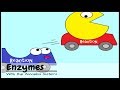 (OLD VIDEO) Enzymes