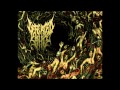 Defeated Sanity - Butchered Identity (HQ) 