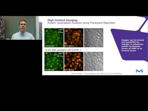 Understanding Cancer Through Whole-Genome Screening