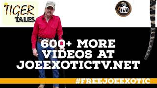 Justice for Joe Exotic the Tiger King